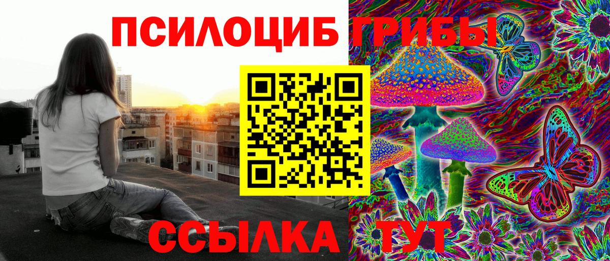 Ишимбай  Псилоцибиновые грибы мухоморы  Вход с VPN 